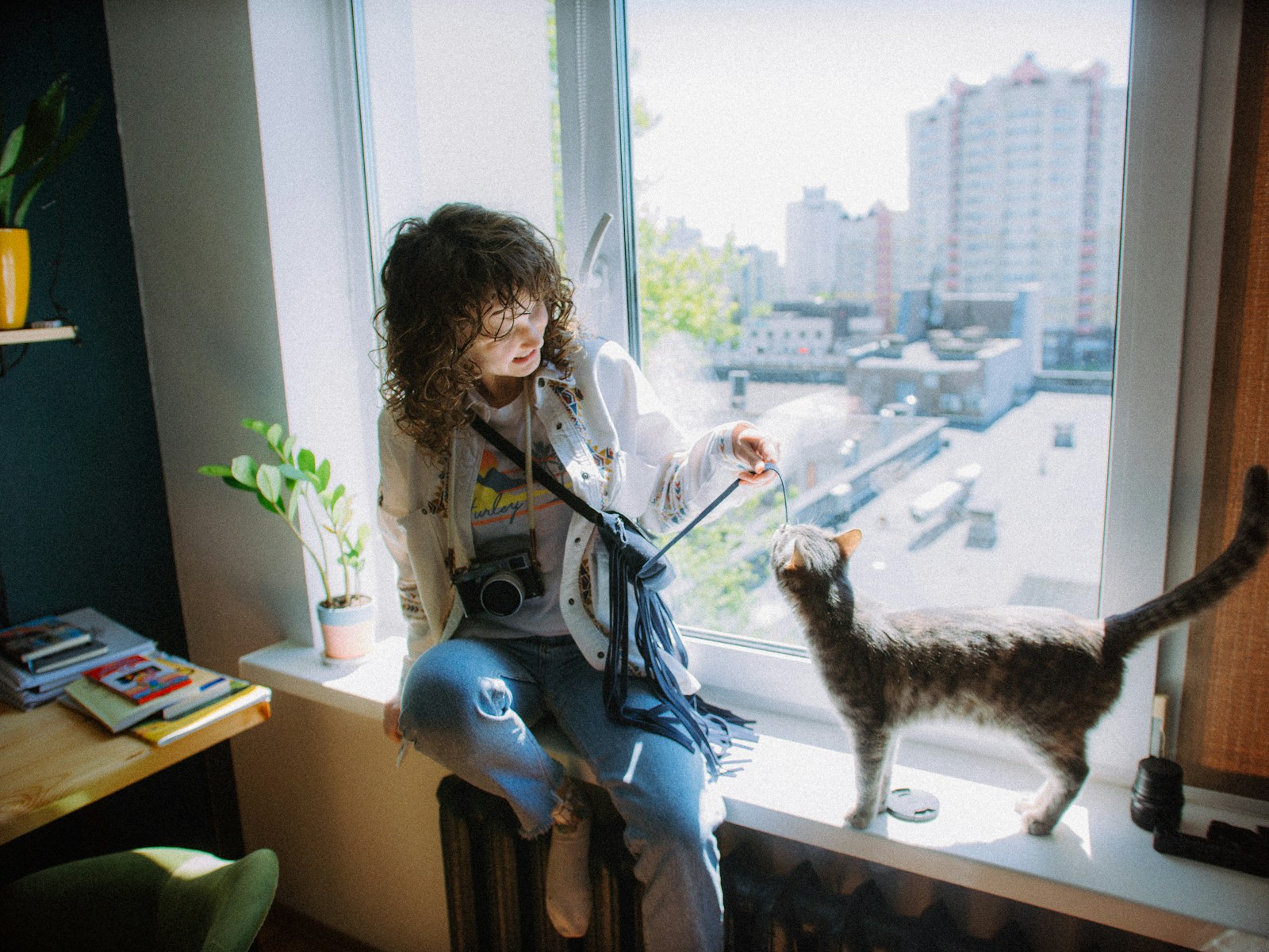 Cat receiving attentive care at home